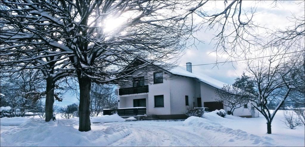 Apartment Lipa Irinovac Szoba fotó